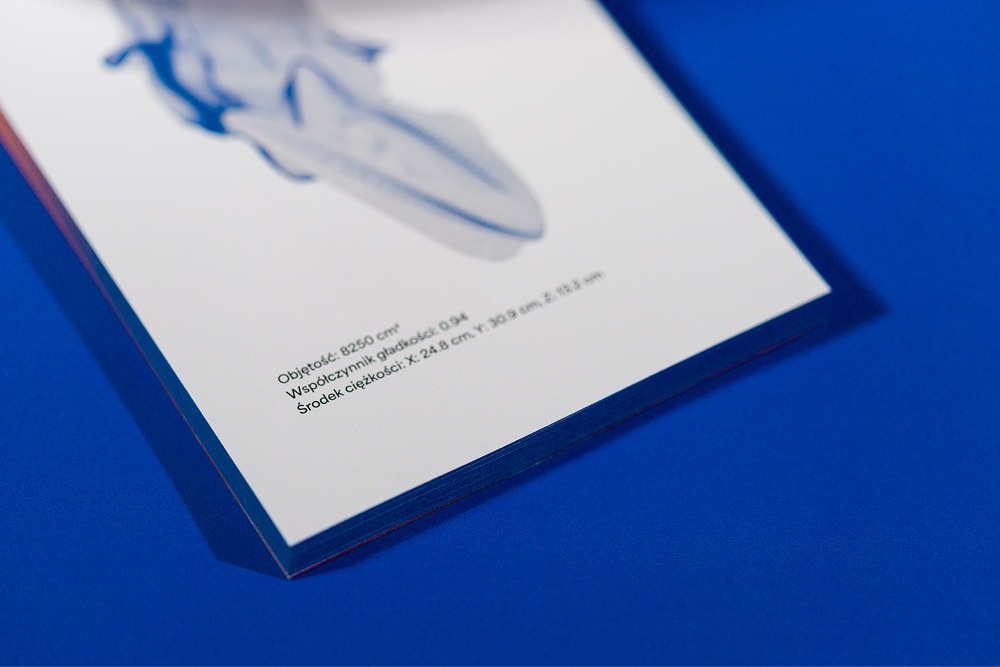 Identyfikacja wystawy “Kserofity” Grzegorza Kwieka w BWA w Tarnowie