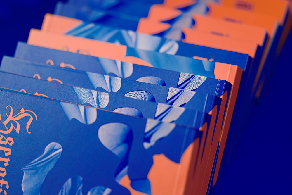 Identyfikacja wystawy “Kserofity” Grzegorza Kwieka w BWA w Tarnowie