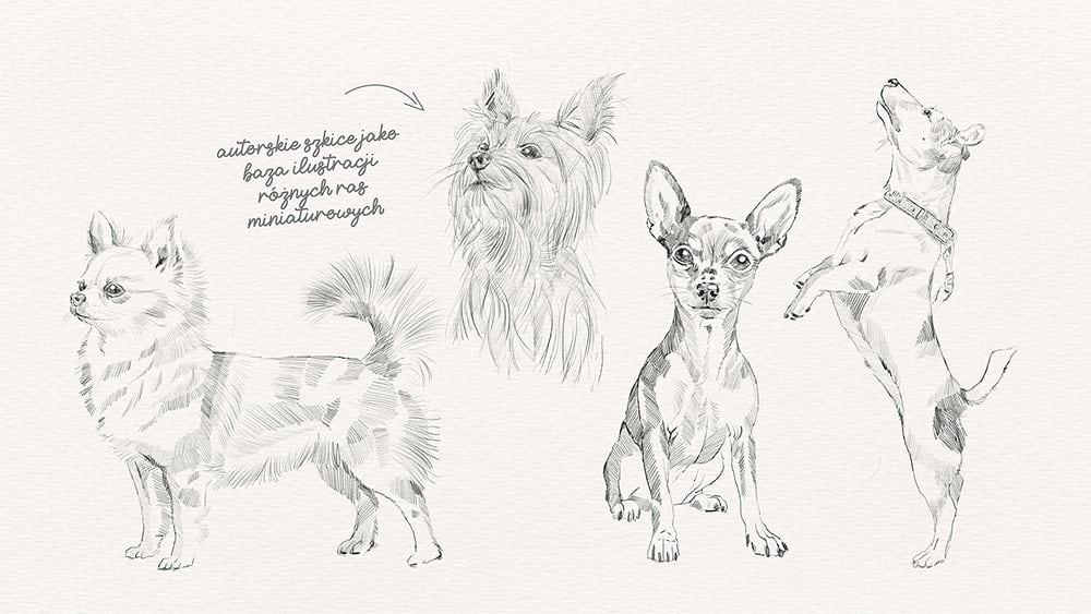 Identyfikacja WoofsyLAB, Kioki Studio