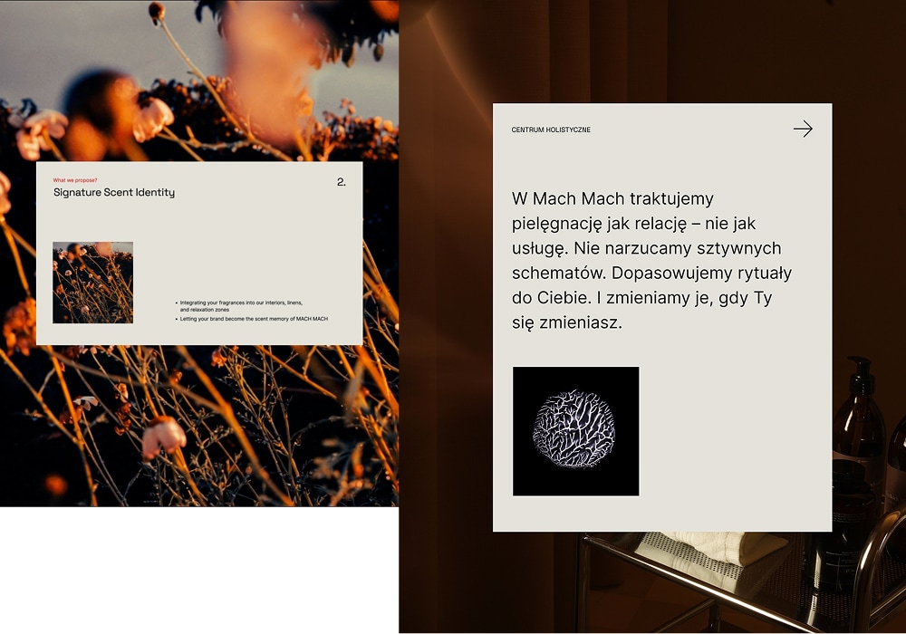 Identyfikacja Mach Mach, Konrad Sybilski