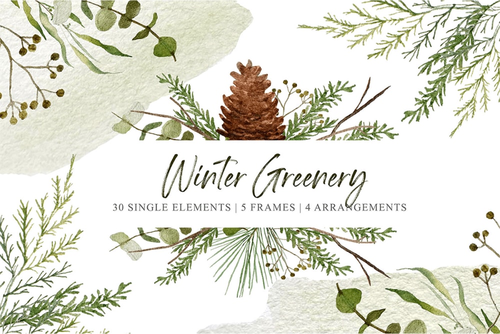 Winter Greenery Watercolor Pack