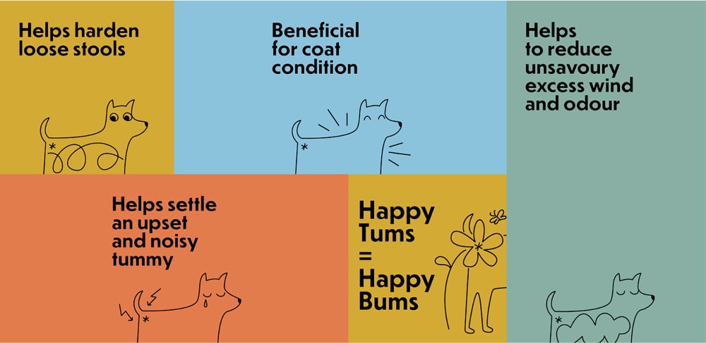 Dog's butt - illustrated probiotic packaging, Agu Wu