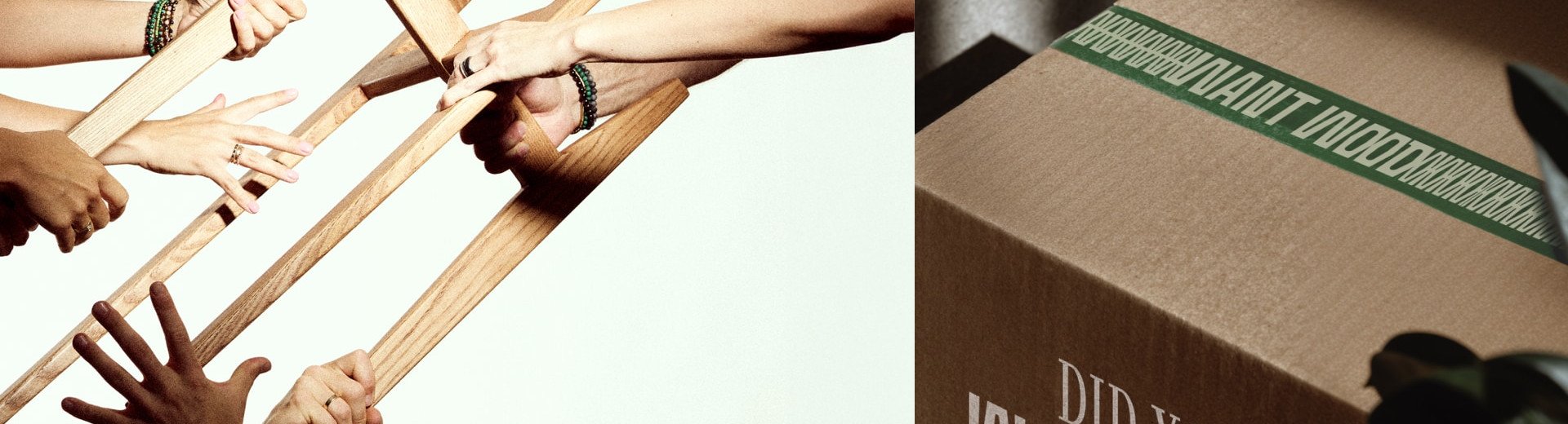 Okładka artykułu Lovebrand dla fanów roślin &mdash; Identyfikacja WANT WOOD od 2rep.studio