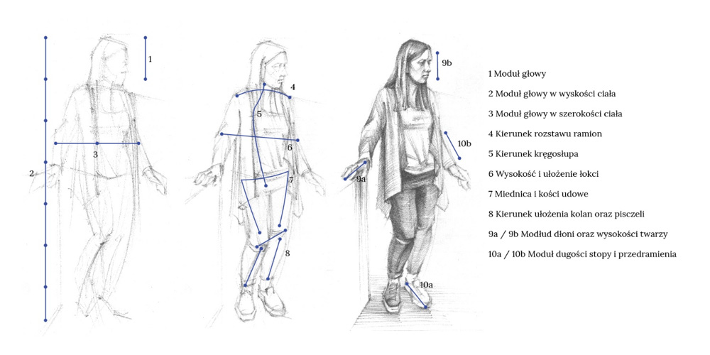 Rysunek ciała człowieka - proporcje