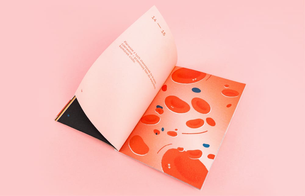 Brochure for children (ITP) — Editorial Design, Aneta Lewandowska
