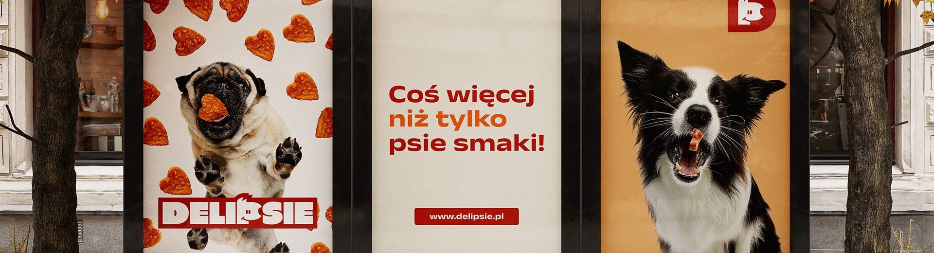 Okładka artykułu „Słodkiego pieskiego życia” — Identyfikacja wizualna DELIPSIE