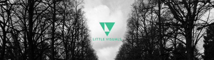 littlevisuals