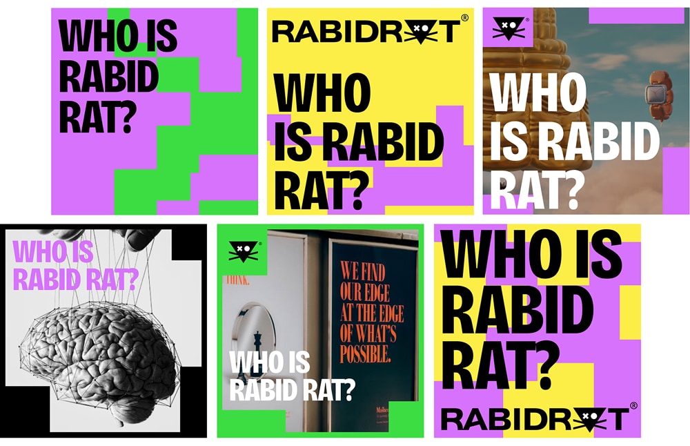 RABIDRAT / Branding&Webdesign