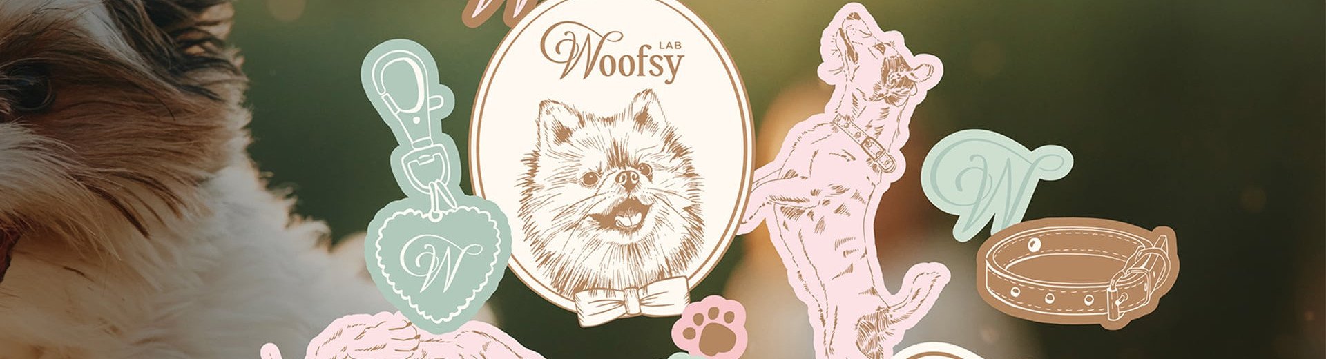 Okładka artykułu Z myślą o najmniejszych czworonogach &mdash; Identyfikacja WoofsyLAB, Kioki Studio
