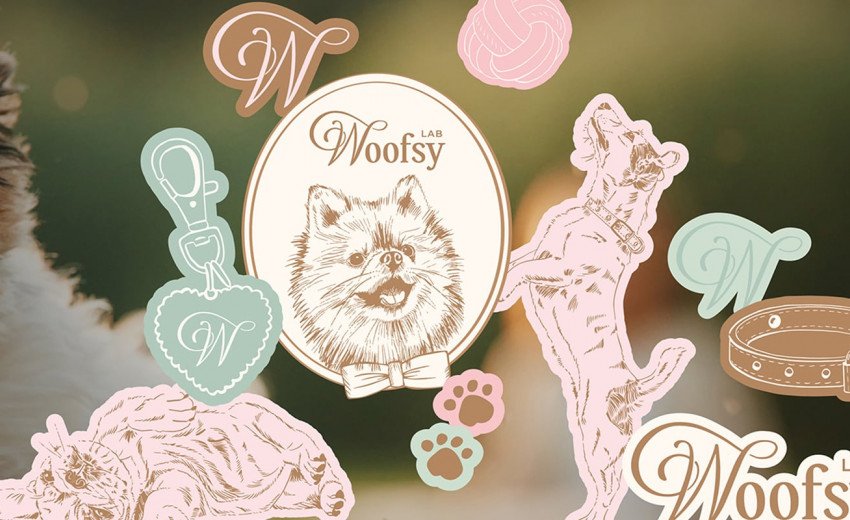 Okładka artykułu Z myślą o najmniejszych czworonogach &mdash; Identyfikacja WoofsyLAB, Kioki Studio