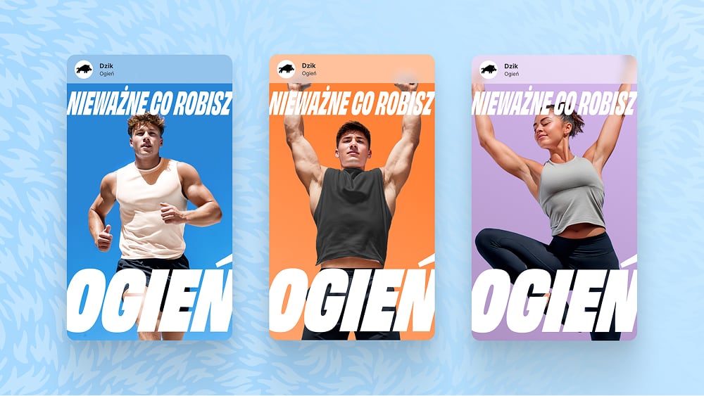 Rebranding DZIK od BNA